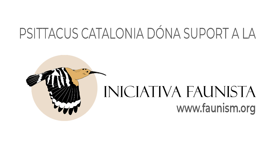 psittacus-header-image